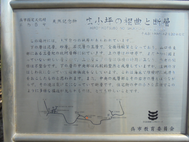 イメージ 6