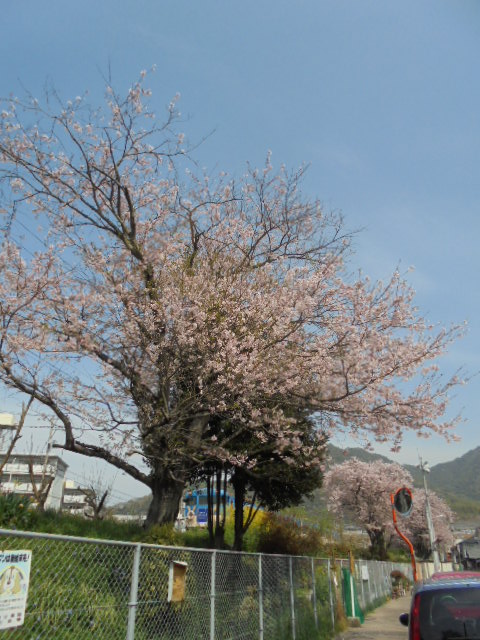 イメージ 1