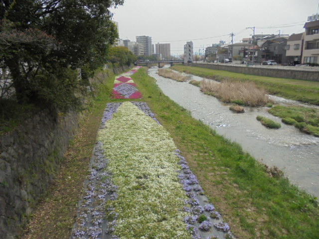 イメージ 11
