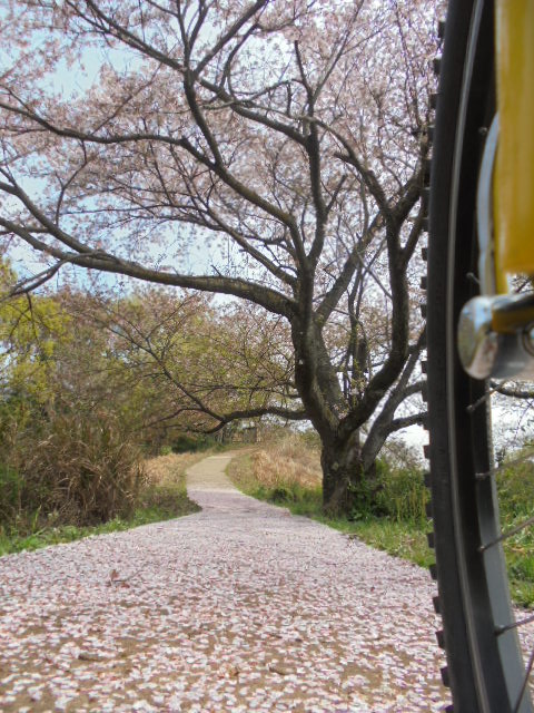 イメージ 7