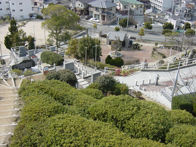 イメージ 3
