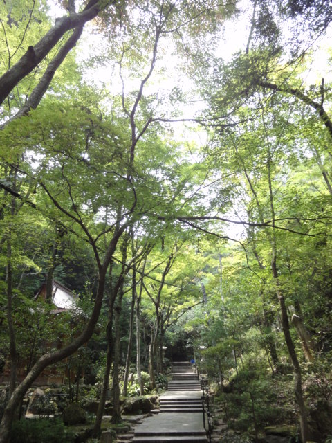 イメージ 6