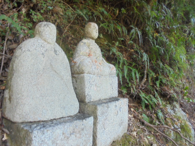 イメージ 12
