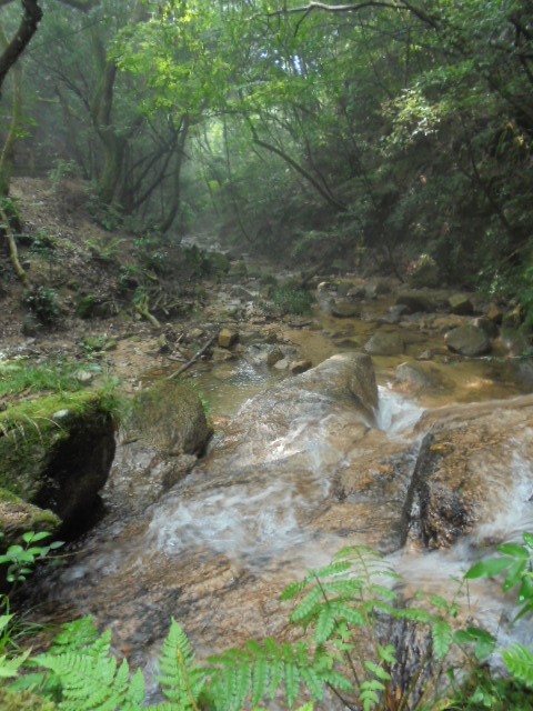 イメージ 11