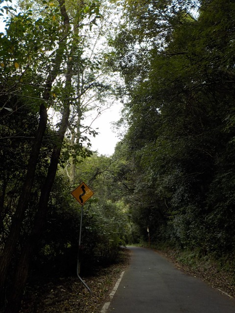 f:id:gotoblueseabicycle:20191013011352j:plain f:id:gotoblueseabicycle:20191013011352j:plain
