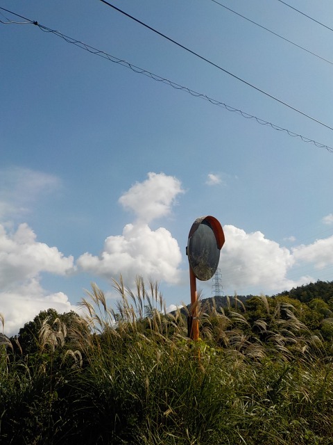 f:id:gotoblueseabicycle:20191027011259j:plain