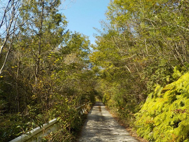 f:id:gotoblueseabicycle:20191110085411j:plain