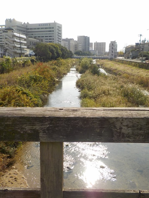 f:id:gotoblueseabicycle:20191110085627j:plain