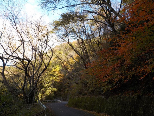 f:id:gotoblueseabicycle:20191201093629j:plain