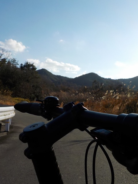 f:id:gotoblueseabicycle:20200105110611j:plain
