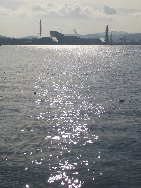 f:id:gotoblueseabicycle:20200112092947j:plain