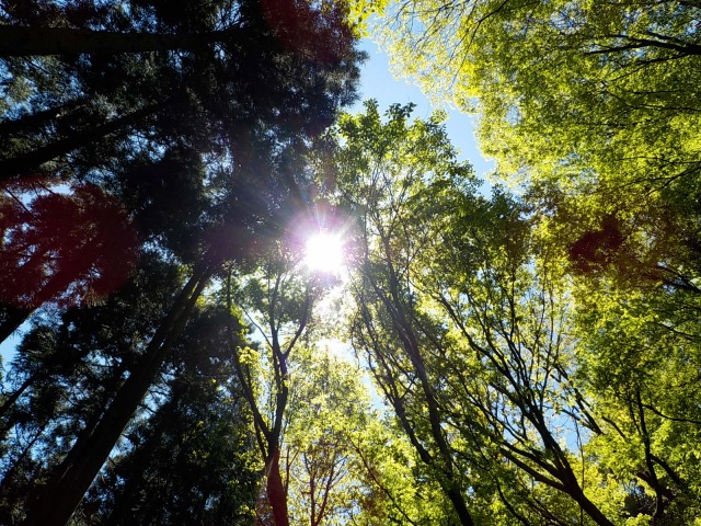 f:id:gotoblueseabicycle:20200510083145j:plain f:id:gotoblueseabicycle:20200510083145j:plain