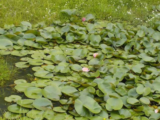 f:id:gotoblueseabicycle:20200517095221j:plain f:id:gotoblueseabicycle:20200517095221j:plain