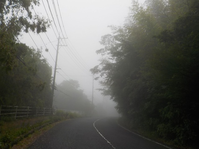 f:id:gotoblueseabicycle:20200712070933j:plain