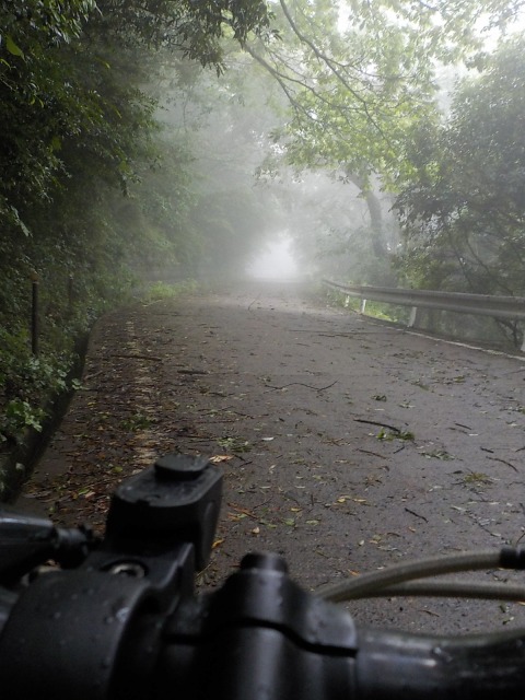 f:id:gotoblueseabicycle:20200712071052j:plain