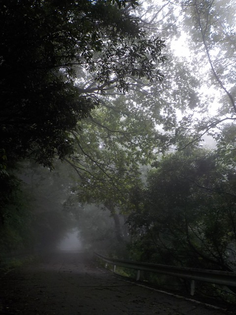 f:id:gotoblueseabicycle:20200712071115j:plain