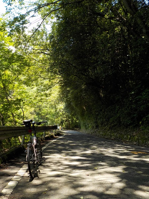 f:id:gotoblueseabicycle:20200719083754j:plain