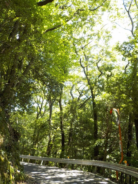 f:id:gotoblueseabicycle:20200719083822j:plain