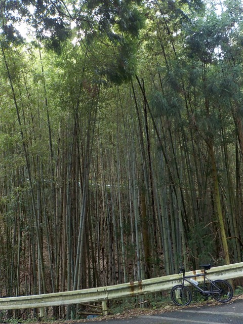 f:id:gotoblueseabicycle:20201004080242j:plain