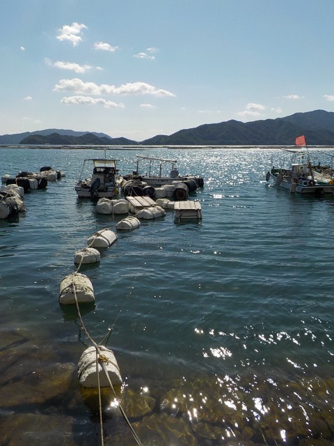 f:id:gotoblueseabicycle:20201025084236j:plain f:id:gotoblueseabicycle:20201025084236j:plain