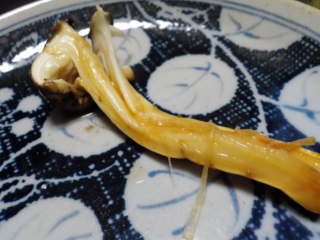 f:id:gotoblueseabicycle:20201027051008j:plain
