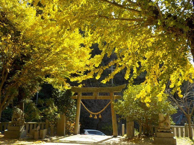 f:id:gotoblueseabicycle:20201115075717j:plain