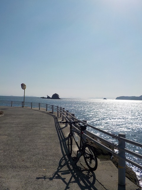 f:id:gotoblueseabicycle:20201115080123j:plain