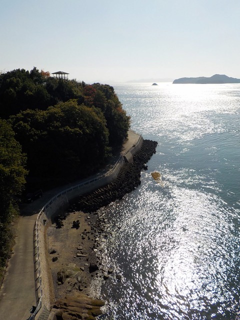 f:id:gotoblueseabicycle:20201115080511j:plain