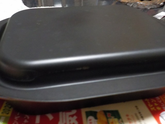 f:id:gotoblueseabicycle:20201216051225j:plain