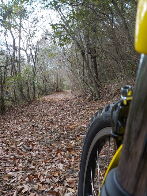 f:id:gotoblueseabicycle:20201220073538j:plain
