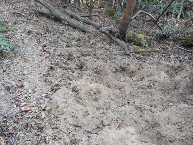 f:id:gotoblueseabicycle:20201220073605j:plain