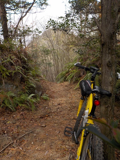 f:id:gotoblueseabicycle:20201220073627j:plain