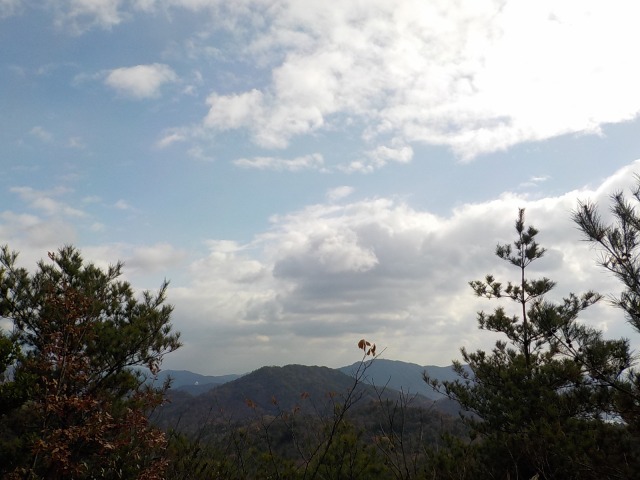 f:id:gotoblueseabicycle:20201220073650j:plain