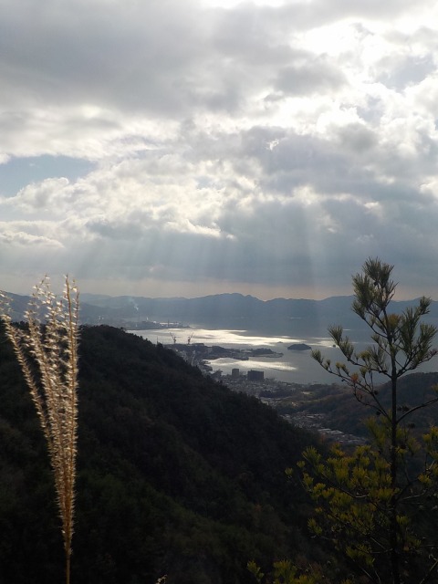 f:id:gotoblueseabicycle:20201220073719j:plain