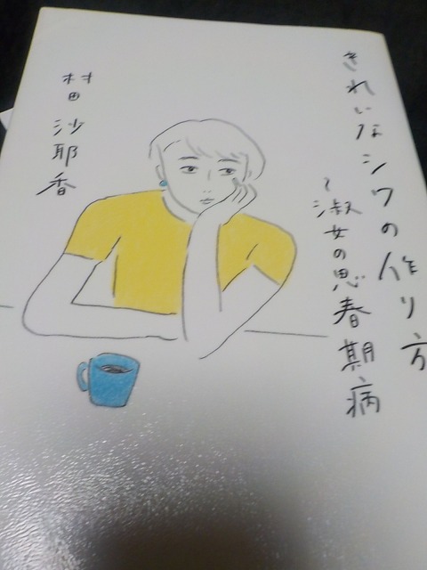 f:id:gotoblueseabicycle:20210108050926j:plain