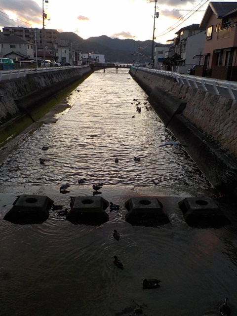 f:id:gotoblueseabicycle:20210110094111j:plain