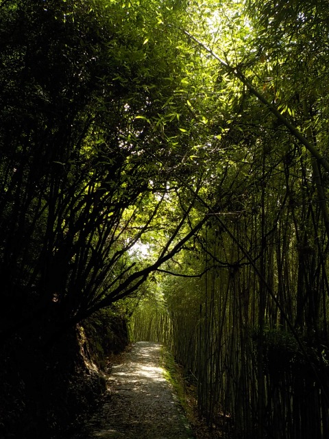f:id:gotoblueseabicycle:20210620074112j:plain