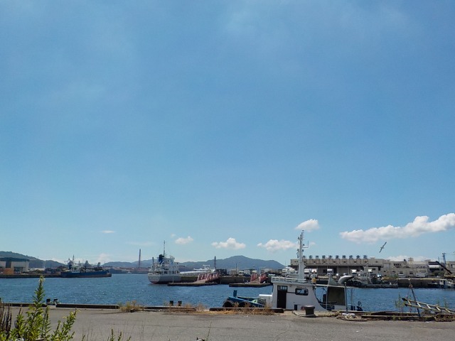 f:id:gotoblueseabicycle:20210808084703j:plain