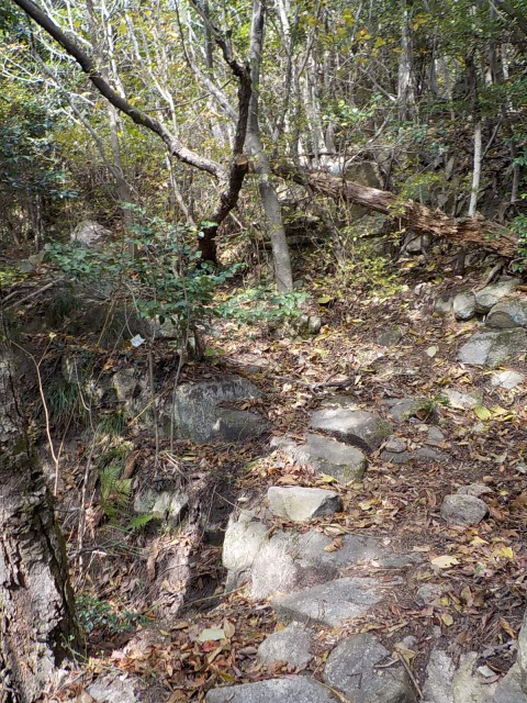 f:id:gotoblueseabicycle:20211114091554j:plain