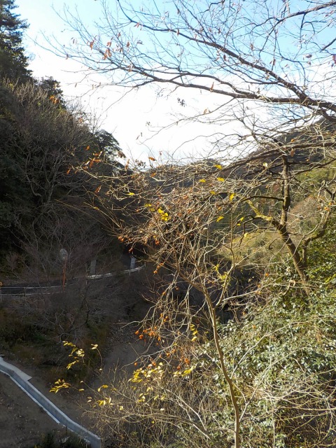 f:id:gotoblueseabicycle:20211205085238j:plain