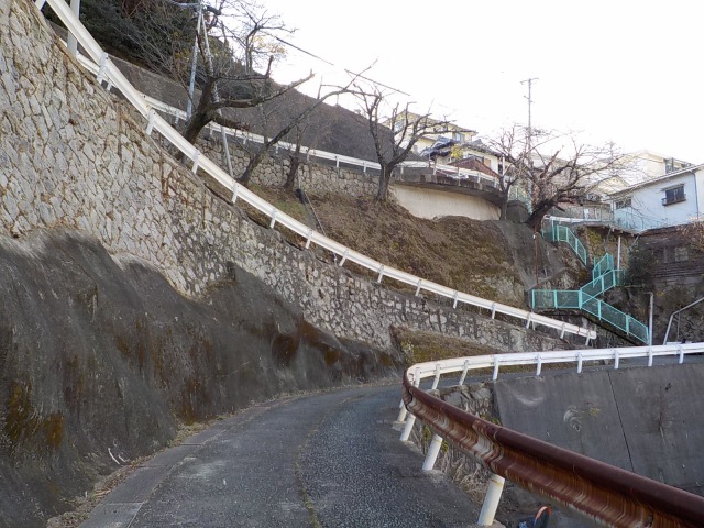 f:id:gotoblueseabicycle:20211219083634j:plain