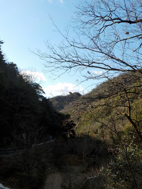 f:id:gotoblueseabicycle:20211226093401j:plain