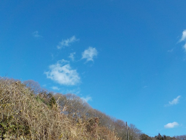 f:id:gotoblueseabicycle:20211226093410j:plain