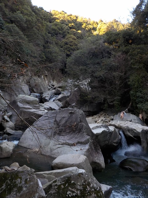 f:id:gotoblueseabicycle:20211226093435j:plain
