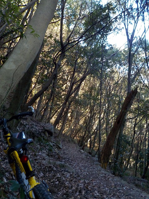 f:id:gotoblueseabicycle:20211226093448j:plain