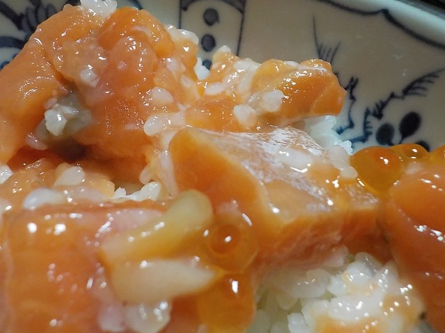 f:id:gotoblueseabicycle:20220119050822j:plain