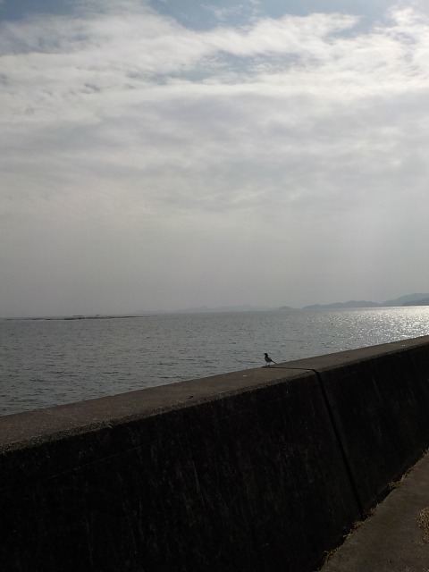 f:id:gotoblueseabicycle:20220130082530j:plain