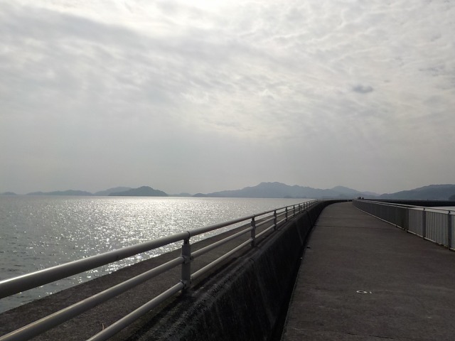 f:id:gotoblueseabicycle:20220130082543j:plain