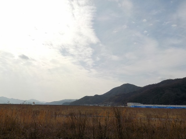 f:id:gotoblueseabicycle:20220130082555j:plain