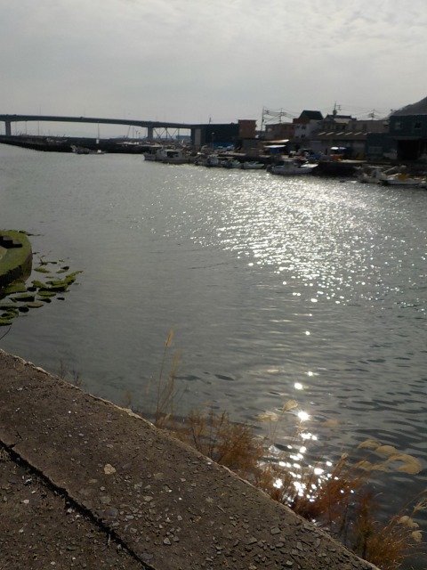 f:id:gotoblueseabicycle:20220130082648j:plain